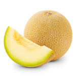 melon galia maroc